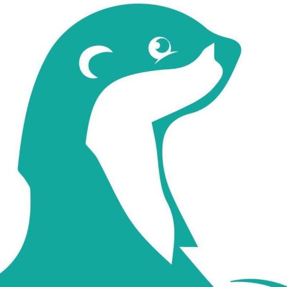 Splashy Fen Music Festival 2025